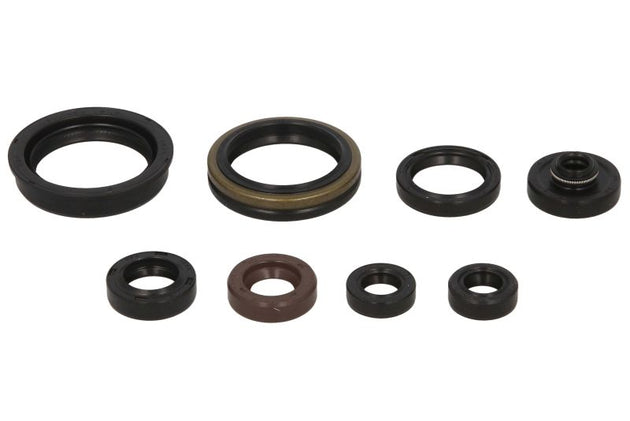 Set garnituri pentru motor WINDEROSA 822318 