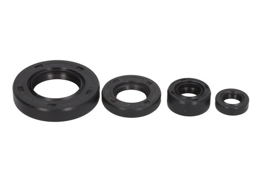 Set garnituri pentru motor WINDEROSA 822195 