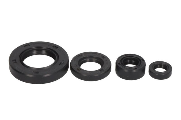 Set garnituri pentru motor WINDEROSA 822195 
