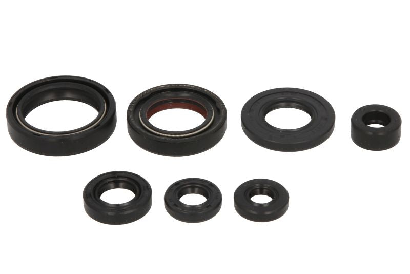 Set garnituri pentru motor WINDEROSA 822197 