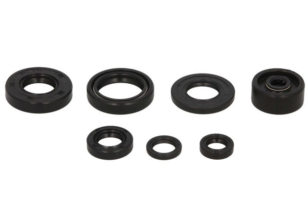 Set garnituri pentru motor WINDEROSA 822112