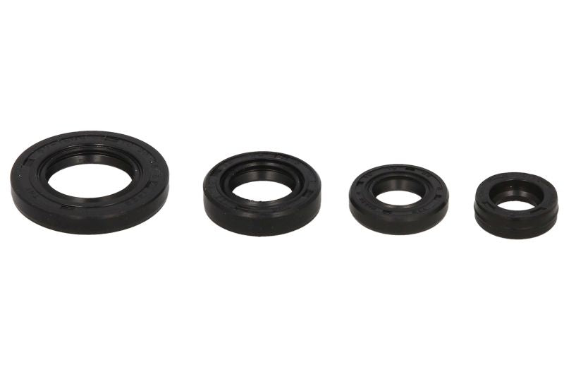 Set garnituri pentru motor WINDEROSA 822272 