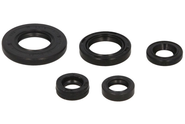 Set garnituri pentru motor WINDEROSA 822240