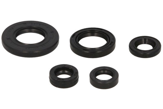 Set garnituri pentru motor WINDEROSA 822240 