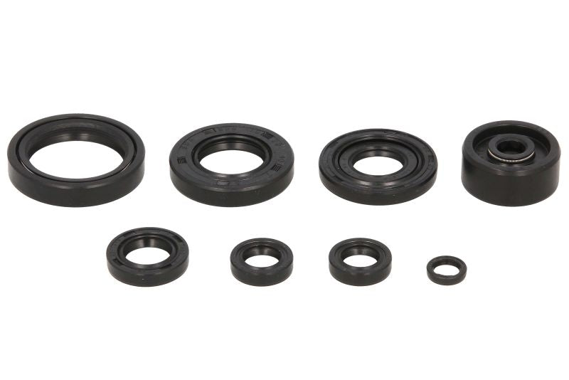 Set garnituri pentru motor WINDEROSA 822119 