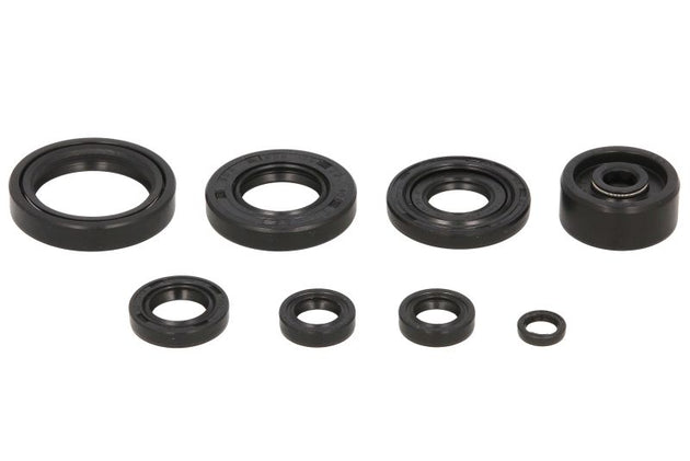 Set garnituri pentru motor WINDEROSA 822119 