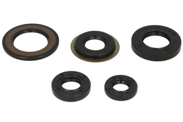 Set garnituri pentru motor WINDEROSA 822308 