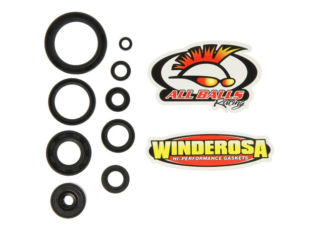 Set garnituri pentru motor WINDEROSA 822117 