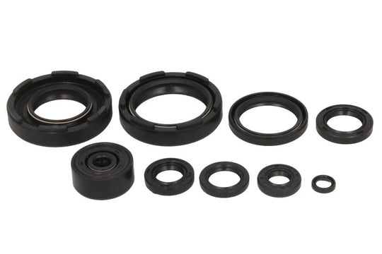 Set garnituri pentru motor WINDEROSA 822221 