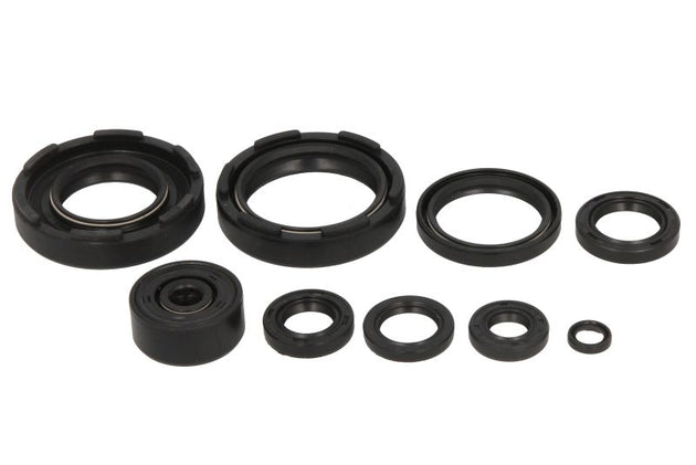 Set garnituri pentru motor WINDEROSA 822221 