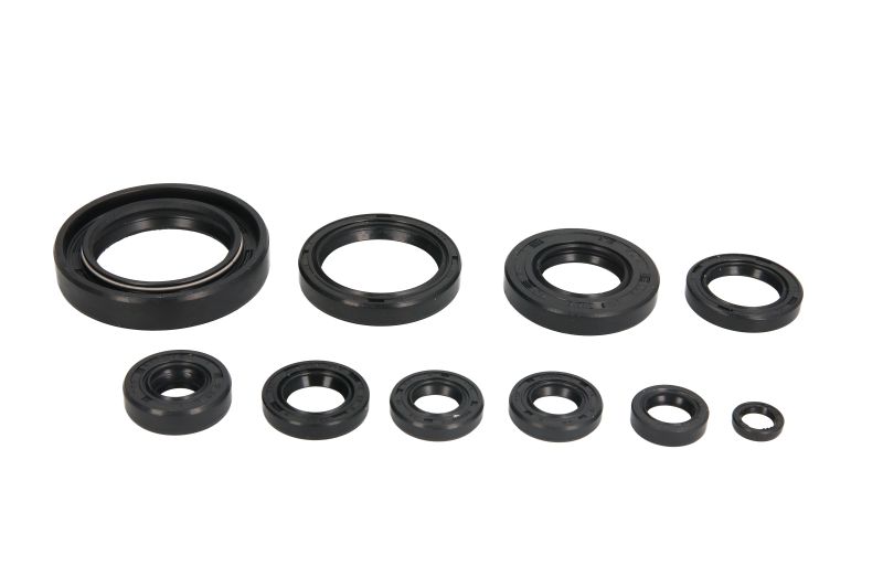 Set garnituri pentru motor WINDEROSA 822118 