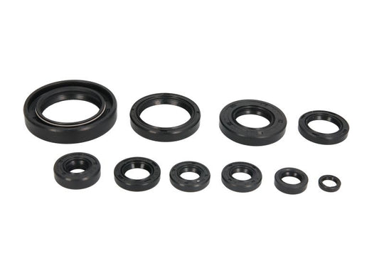 Set garnituri pentru motor WINDEROSA 822118 