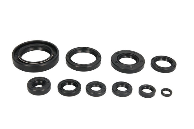 Set garnituri pentru motor WINDEROSA 822118 
