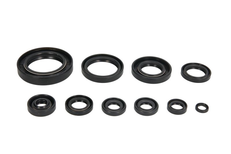 Set garnituri pentru motor WINDEROSA 822118 