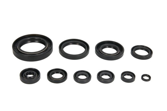Set garnituri pentru motor WINDEROSA 822118 
