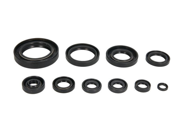 Set garnituri pentru motor WINDEROSA 822118 
