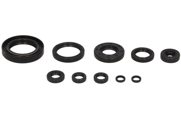 Set garnituri pentru motor WINDEROSA 822122