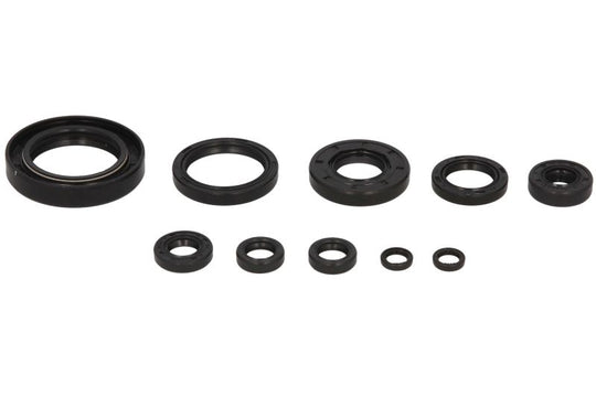 Set garnituri pentru motor WINDEROSA 822122 