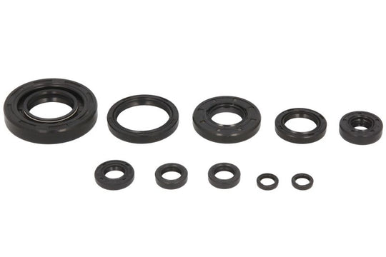 Set garnituri pentru motor WINDEROSA 822174 