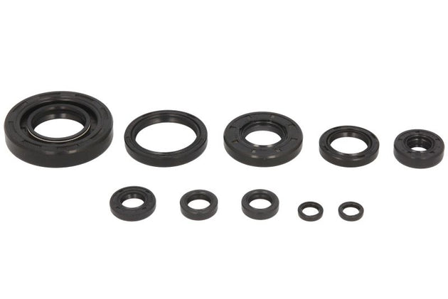 Set garnituri pentru motor WINDEROSA 822174 