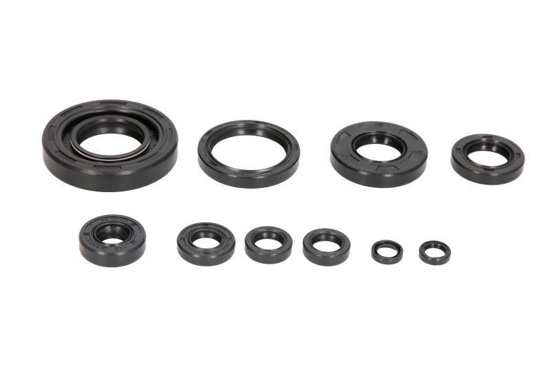 Set garnituri pentru motor WINDEROSA 822304 