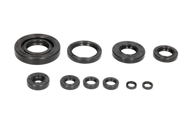 Set garnituri pentru motor WINDEROSA 822304 