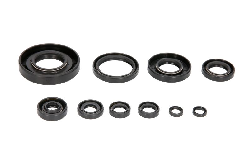 Set garnituri pentru motor WINDEROSA 822304 