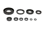 Set garnituri pentru motor WINDEROSA 822304 