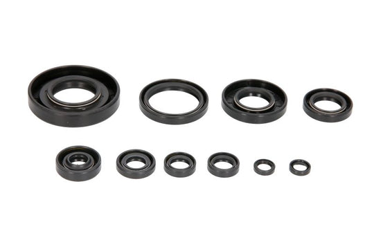 Set garnituri pentru motor WINDEROSA 822304 