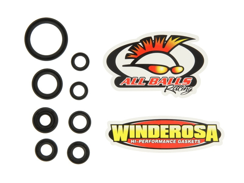 Set garnituri pentru motor WINDEROSA 822167 