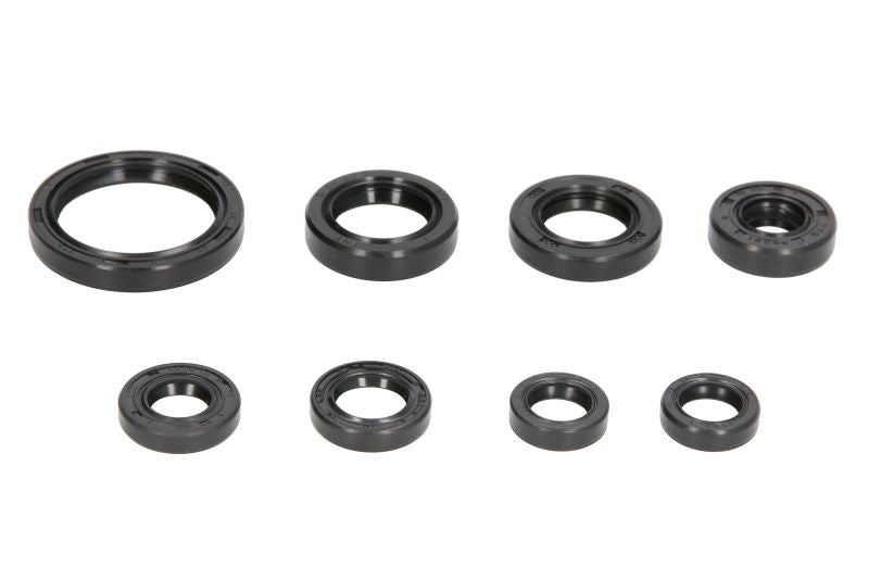 Set garnituri pentru motor WINDEROSA 822228 