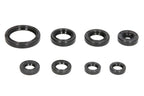 Set garnituri pentru motor WINDEROSA 822228 