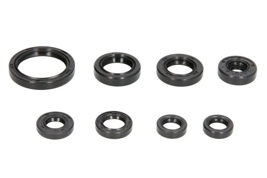 Set garnituri pentru motor WINDEROSA 822228 