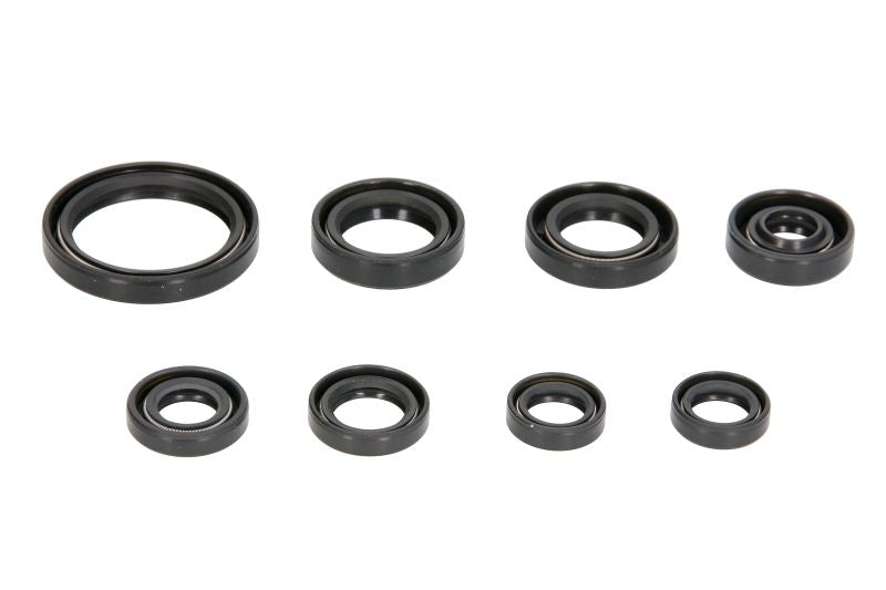 Set garnituri pentru motor WINDEROSA 822228 