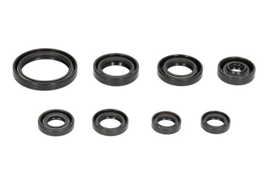 Set garnituri pentru motor WINDEROSA 822228 