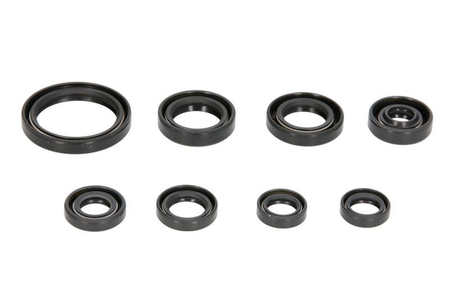 Set garnituri pentru motor WINDEROSA 822228 