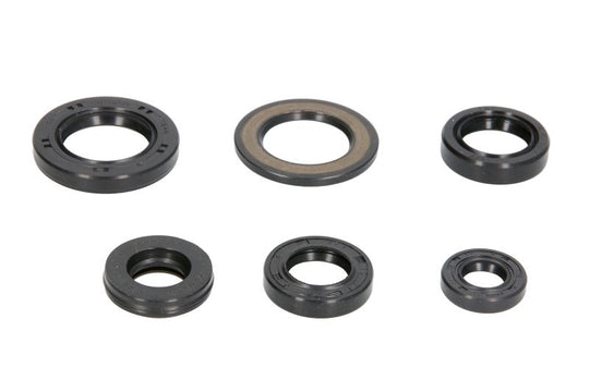 Set garnituri pentru motor WINDEROSA 822337 