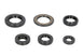 Set garnituri pentru motor WINDEROSA 822337 