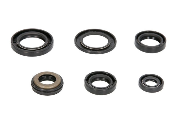 Set garnituri pentru motor WINDEROSA 822337 