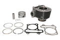 Cilindru motor IP000442 INPARTS