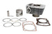 Cilindru motor IP000443 INPARTS