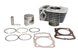 Cilindru motor IP000443 INPARTS
