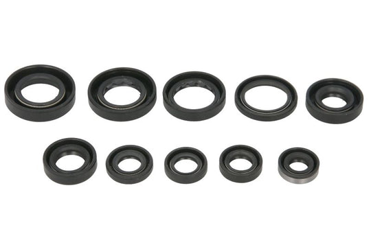 Set garnituri pentru motor WINDEROSA 822341 