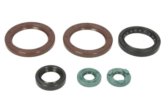 Set garnituri pentru motor WINDEROSA 822342