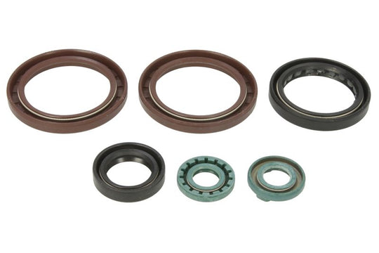 Set garnituri pentru motor WINDEROSA 822342