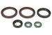 Set garnituri pentru motor WINDEROSA 822342 