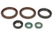 Set garnituri pentru motor WINDEROSA 822342 