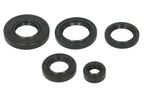 Set garnituri pentru motor WINDEROSA 822343 