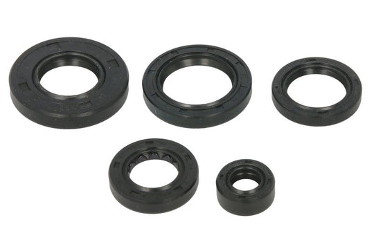 Set garnituri pentru motor WINDEROSA 822343 
