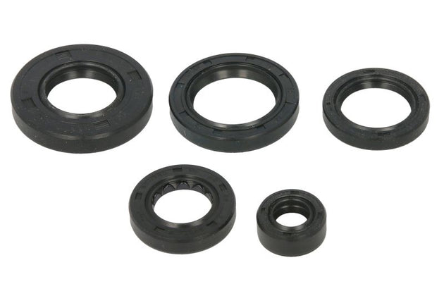 Set garnituri pentru motor WINDEROSA 822343 